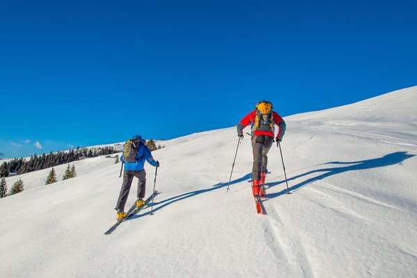 Comment faire une randonnée à dos de chameau dans le désert du Sahara sans impact négatif sur l'environnement?