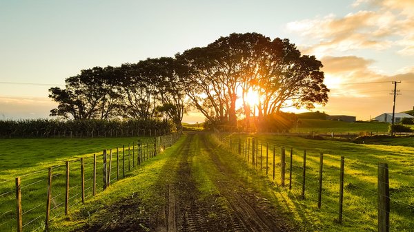 Quel est le meilleur pays pour vivre en Europe ?